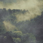 纯CSS实现早晨森林薄雾笼罩特效动画