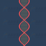 模拟DNA基因组动态3D螺旋状可拖拽变形js动画
