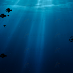 海底世界多彩鱼儿自由游动canvas动画