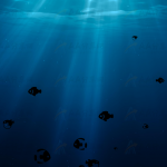炫酷逼真海底世界多彩鱼儿来回游动js动画